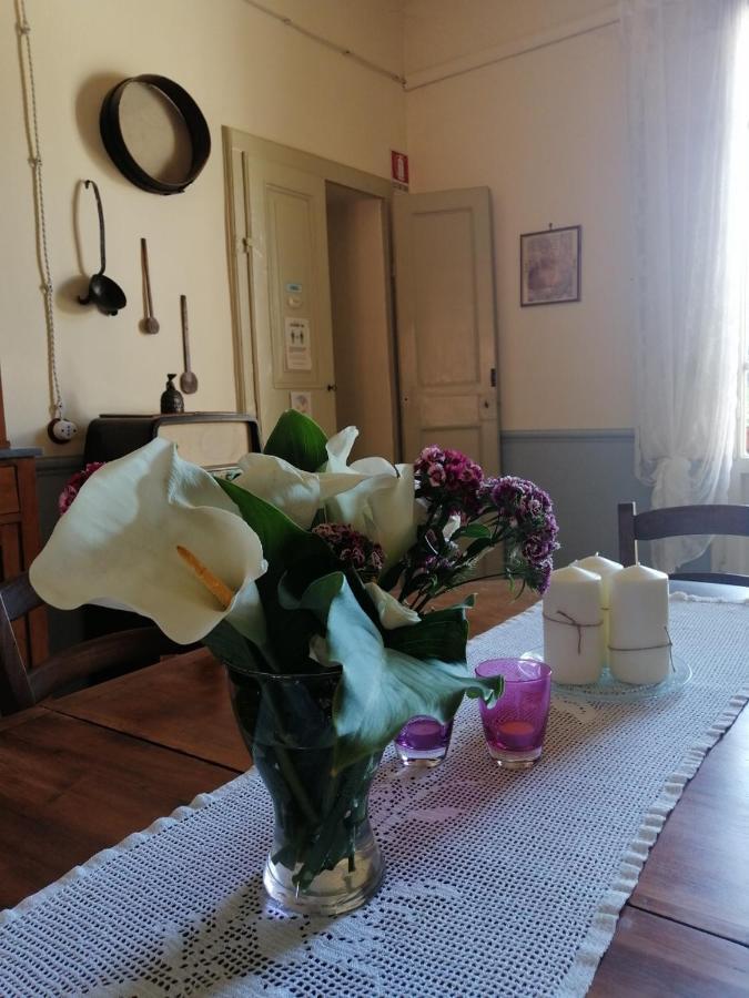 Bed And Breakfast Evelina Lucca Eksteriør billede